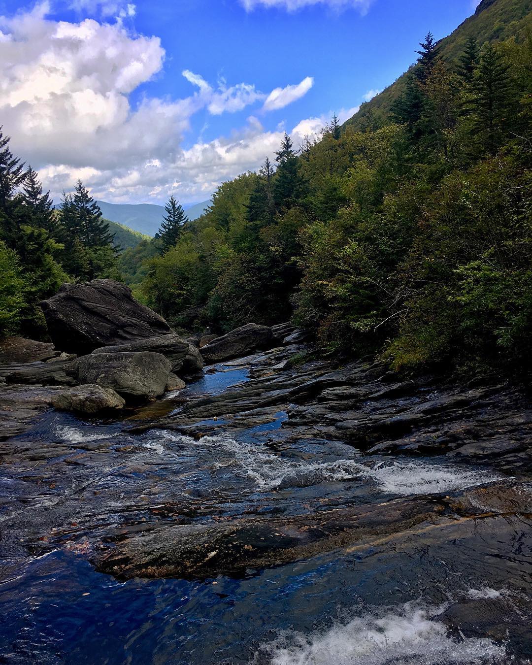 Asheville Hikes - Black Balsam Knob - Original Photo