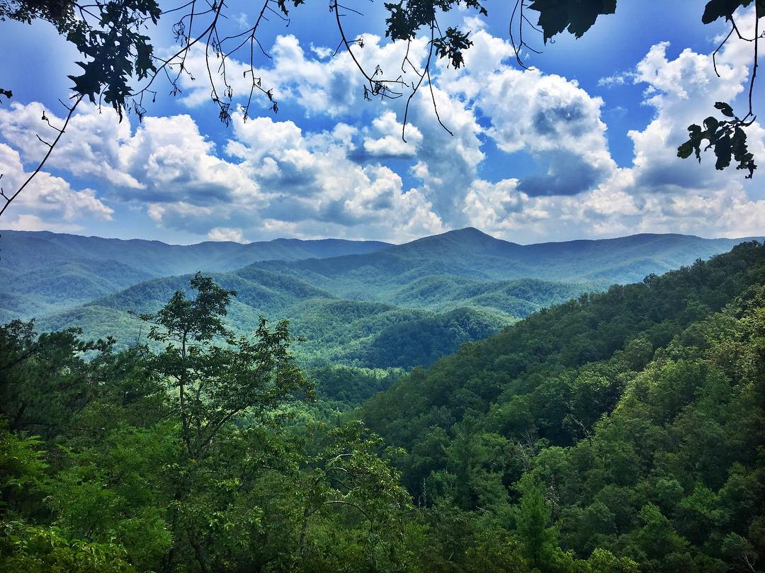 National Park Hikes - Laurel Falls Trail - Original Photo